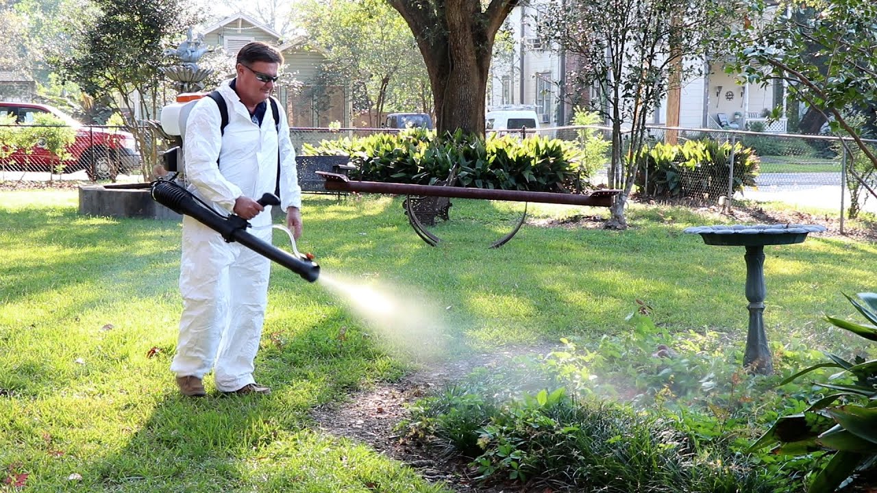 Professional mosquito control treatment for a Baltimore yard